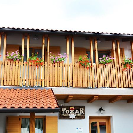 Turisticna Kmetija Pri Pozarju Βίλα Knezak Εξωτερικό φωτογραφία