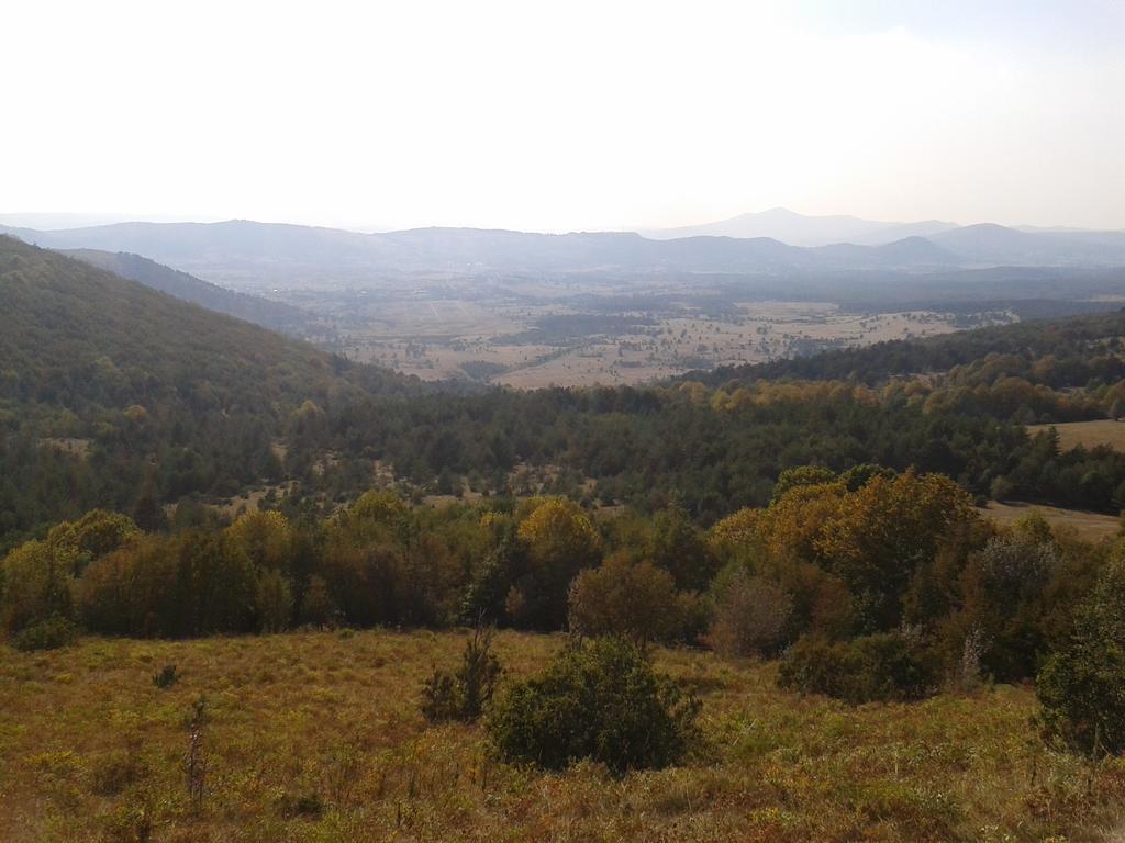 Turisticna Kmetija Pri Pozarju Βίλα Knezak Εξωτερικό φωτογραφία